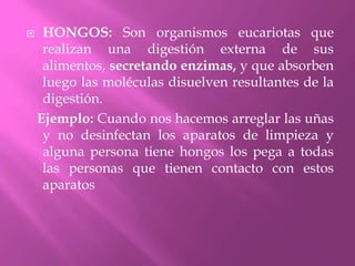 HONGOS: Son organismos eucariotas que realizan una digestión externa de sus alimentos, secretando enzimas, y que absorben luego las moléculas disuelven resultantes de la digestión.   Ejemplo: Cuando nos hacemos arreglar las uñas y no desinfectan los aparatos de limpieza y alguna persona tiene hongos los pega a todas las personas que tienen contacto con estos aparatos