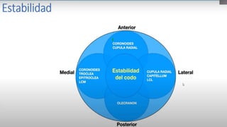 Materiales para Inmovilización
• Vendajes de yeso
• Vendajes de algodón
• Vendajes de Tela
• Sabana o bata para el paciente
• Tijeras
• Balde con agua
• Guantes
 
