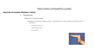 FRACTURA DE FALANGE PROXIMAL Y MEDIA
FRACTURAS EXTRAARTICULARES
🠶 Desplazadas
🠶 Reducción cerrada posible
🠶 Estables: transversas y oblicuas cortas . Férula de yeso con varios dedos en intrínseco plus 3
semanas.
🠶 Muñeca: extensión 30
🠶 MTCF: flexión 70-90
🠶 IF: extensión
 