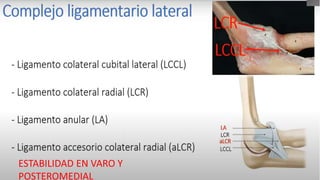 1.Analgesia
2. Estabilización para el transporte
3. Disminuir daño tisular
4. Permitirla reparación de tejidos
blandos.
5. Relajación muscular
Objetivos
La inmovilización es el principal método analgésico
ESTABILIDAD EN VARO Y
POSTEROMEDIAL
 