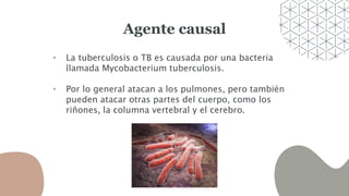 Agente causal
• La tuberculosis o TB es causada por una bacteria
llamada Mycobacterium tuberculosis.
• Por lo general atacan a los pulmones, pero también
pueden atacar otras partes del cuerpo, como los
riñones, la columna vertebral y el cerebro.