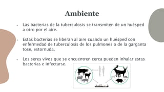 Ambiente
● Las bacterias de la tuberculosis se transmiten de un huésped
a otro por el aire.
● Estas bacterias se liberan al aire cuando un huésped con
enfermedad de tuberculosis de los pulmones o de la garganta
tose, estornuda.
● Los seres vivos que se encuentren cerca pueden inhalar estas
bacterias e infectarse.