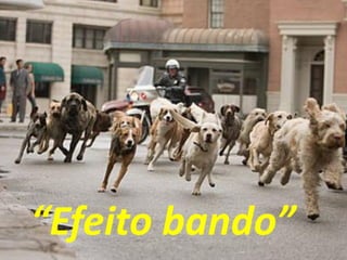 “Efeito bando”  