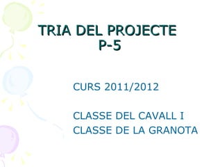 TRIA DEL PROJECTE  P-5 ,[object Object],[object Object],[object Object]