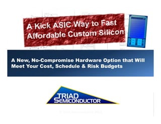 A New, No-Compromise Hardware Option that Will
Meet Your Cost, Schedule & Risk Budgets
© Triad Semiconductor 2013
 