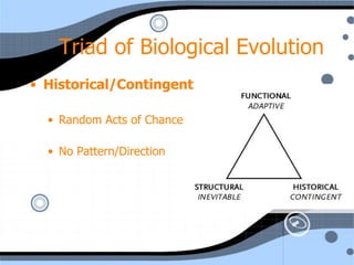 Triad of Biological Evolution Historical/Contingent Random Acts of Chance No Pattern/Direction 