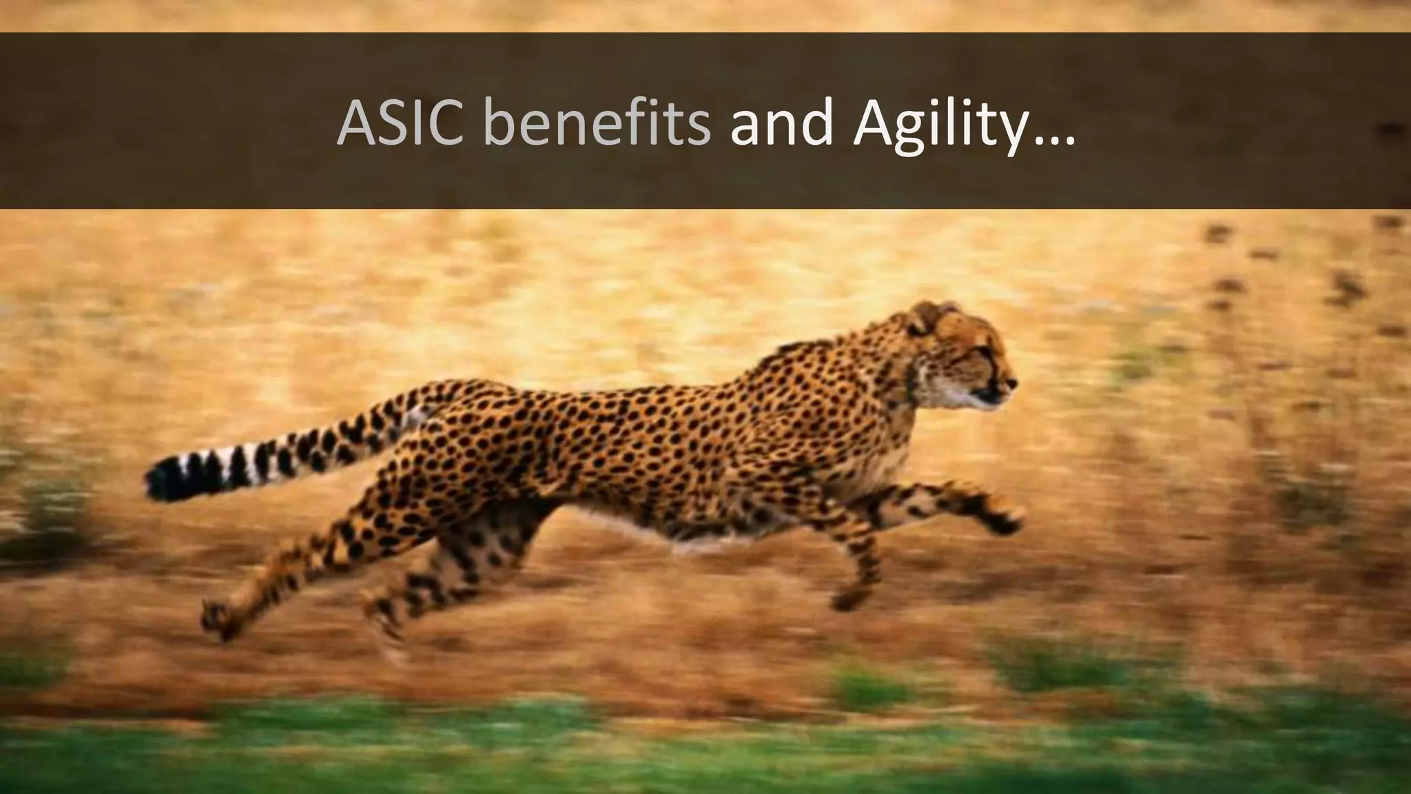 ASIC benefits and Agility…
 