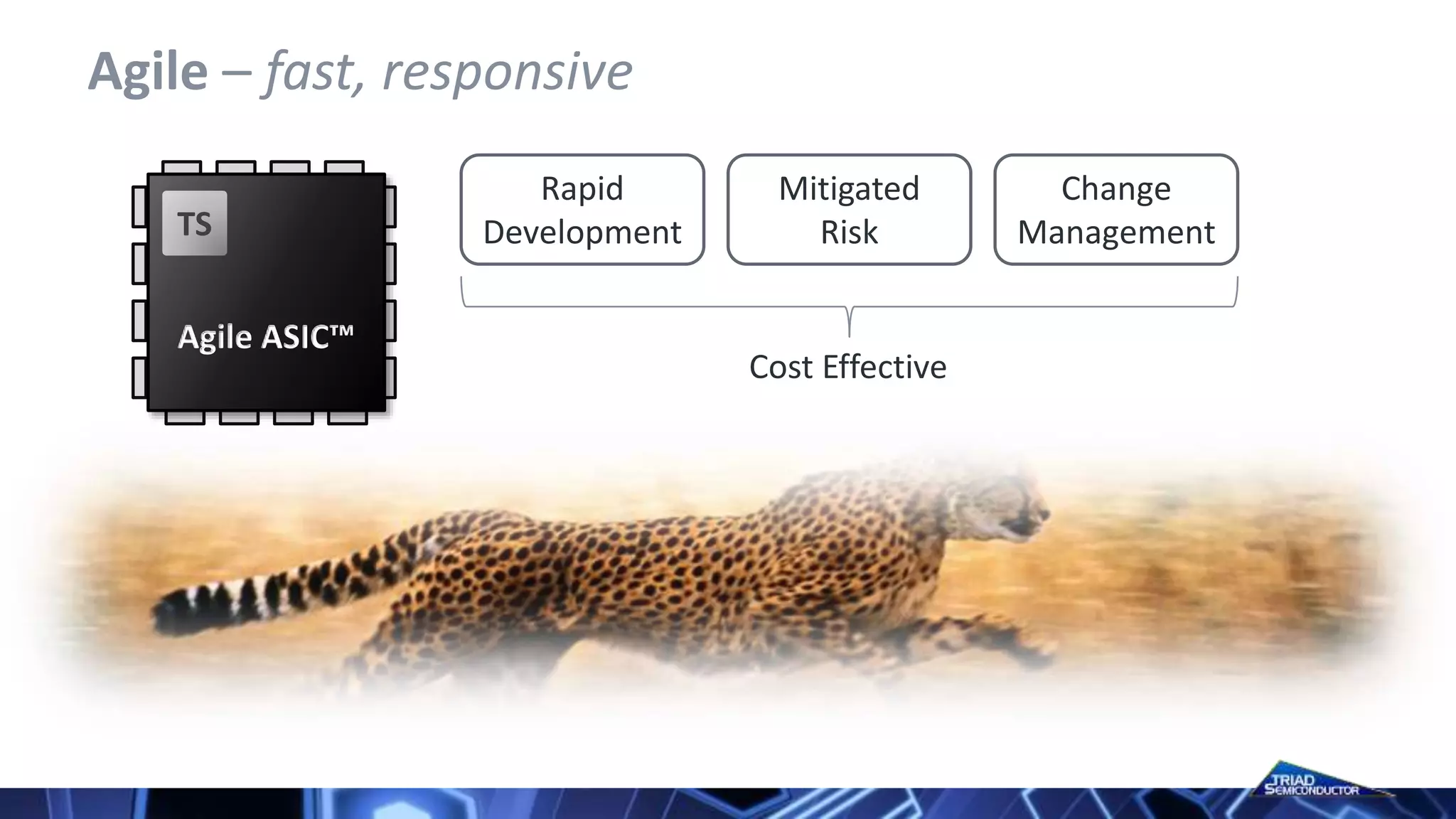 Agile – fast, responsive
Rapid
Development
Mitigated
Risk
Change
Management
Cost Effective
Agile ASIC™
TS
 