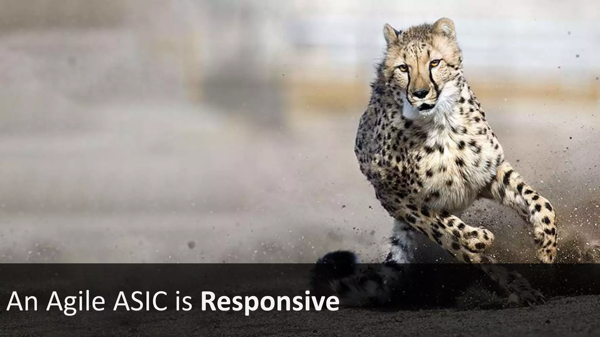 An Agile ASIC is Responsive
 