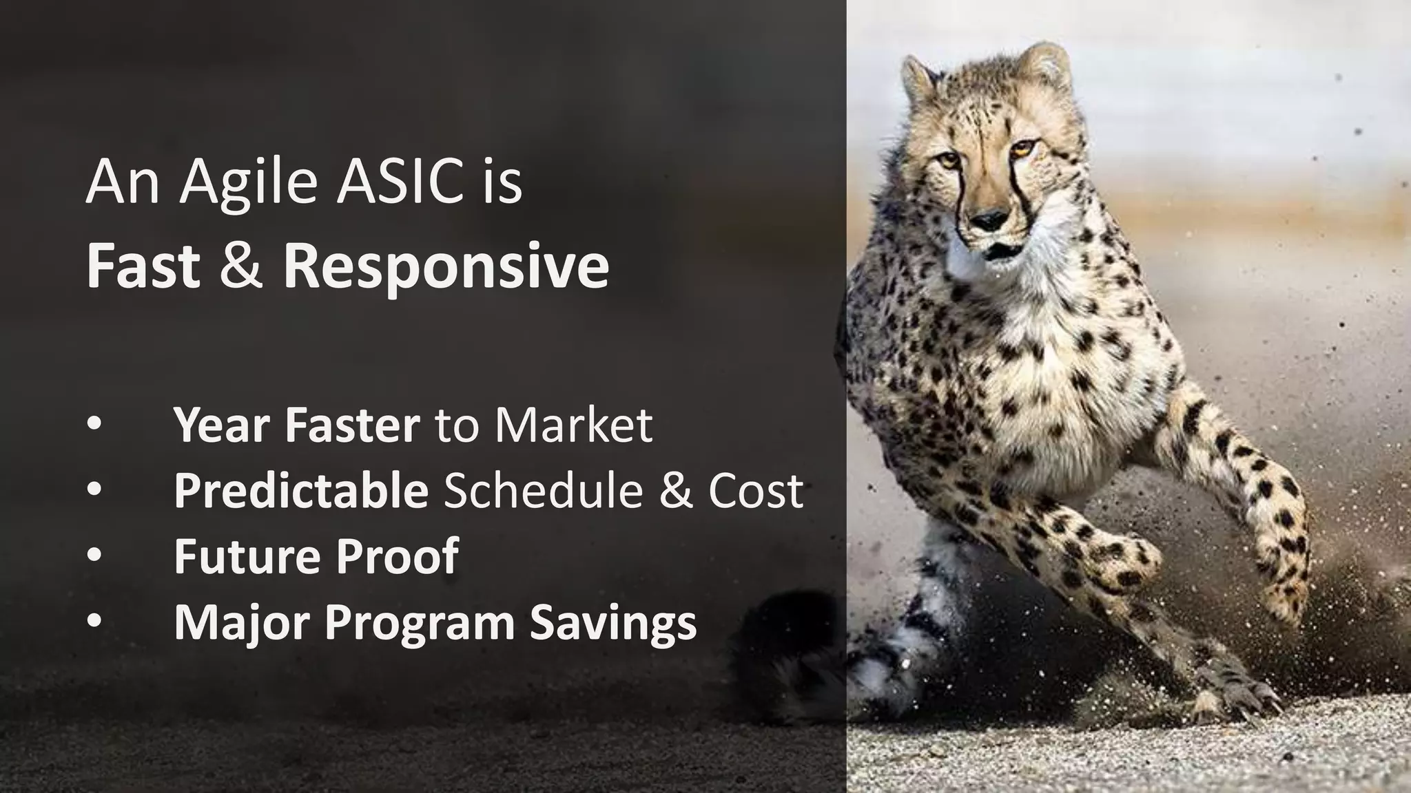 An Agile ASIC is
Fast & Responsive
• Year Faster to Market
• Predictable Schedule & Cost
• Future Proof
• Major Program Savings
 