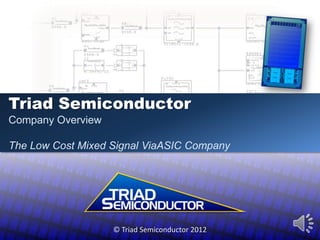 Triad Semiconductor
Company Overview

The Low Cost Mixed Signal ViaASIC Company




                   © Triad Semiconductor 2012
 