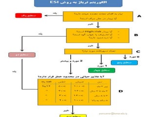 yosra.anvar@komar.edu.iq
 