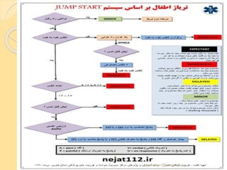 yosra.anvar@komar.edu.iq
 