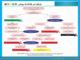 yosra.anvar@komar.edu.iq
 