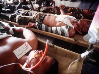 yosra.anvar@komar.edu.iq
 