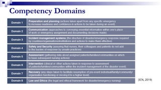 Competency Domains
(ICN, 2019)
 