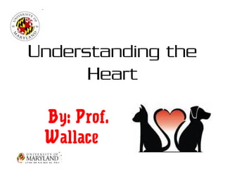 Understanding the 
Heart 
By: Prof. 
Wallace 
 