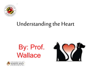 Understanding the Heart 
By: Prof. 
Wallace 
 