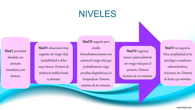 Triaje estructurado presentacion PPT