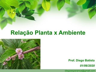 Relação Planta x Ambiente
Prof. Diego Batista
01/06/2020
diegoesperanca@gmail.com
 