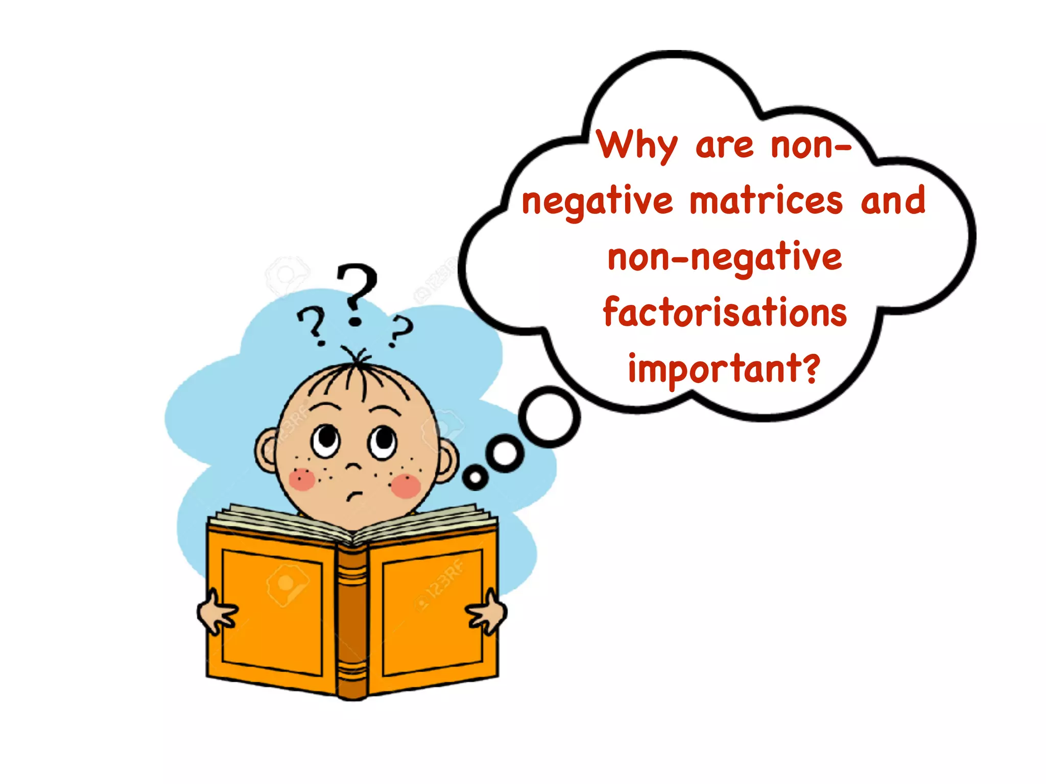Why are non-
negative matrices and
non-negative
factorisations
important?
 