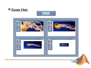 Zoom Out:
 