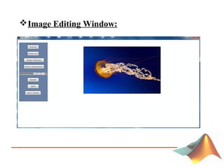 Image Editing Window:
 
