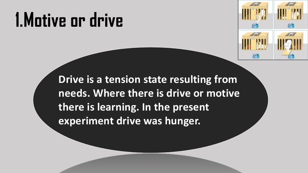 Trial And Error Learning Theory