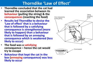 Thorndike ‘Law of Effect’
• Thorndike concluded that the cat had
  learned the association between its
  behaviour (pulling the string) & the
  consequences (reaching the food)
• Results led Thorndike to devise the
  ‘Law of effect’ that is a behaviour
  that is followed by a satisfying
  consequence is strengthened (more
  likely to happen) than a behaviour
  that is followed by an annoying
  consequence which is weakened (less
  likely to occur)
• The food was a satisfying
  consequence – hence the cat would
  try to escape
• Behaviour that kept the cat in the
  box (annoying consequence) was less
  likely to occur
 