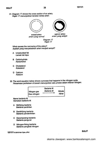 skema Jawapan: www.banksoalanspm.com
 