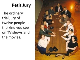 Petit Jury The ordinary trial jury of twelve people—the kind you see on TV shows and the movies. 