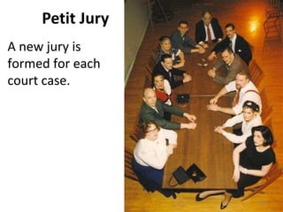 Petit Jury A new jury is formed for each court case.  