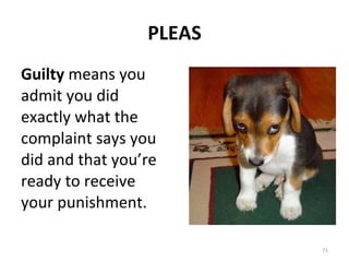 PLEAS Guilty  means you admit you did exactly what the complaint says you did and that you’re ready to receive your punishment. 