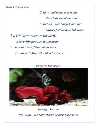 Trials and Tribulations Chapter 2 - Proterozoic eon 5 | PDF