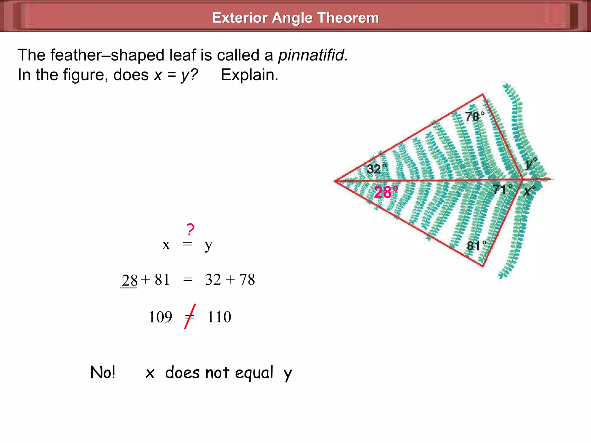 Exterior Angle Theorem  The feather–shaped leaf is called a  pinnatifid. In the figure, does  x = y?  Explain . __ + 81  =  32 + 78 28 28 ° 109  =  110 No!  x  does not equal  y x  =  y ? 