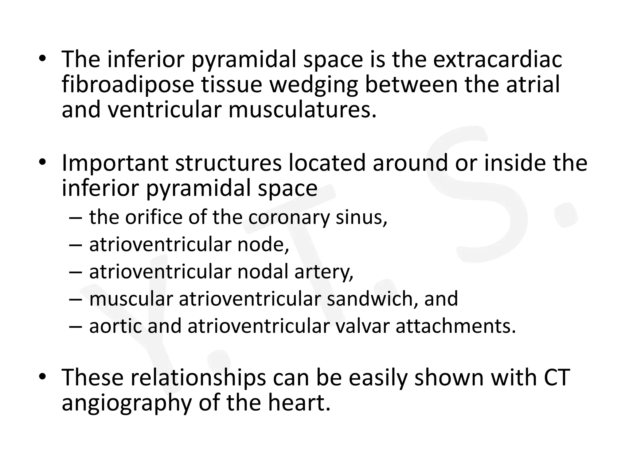 • The inferior pyramidal space is the extracardiac
fibroadipose tissue wedging between the atrial
and ventricular musculatures.
• Important structures located around or inside the
inferior pyramidal space
– the orifice of the coronary sinus,
– atrioventricular node,
– atrioventricular nodal artery,
– muscular atrioventricular sandwich, and
– aortic and atrioventricular valvar attachments.
• These relationships can be easily shown with CT
angiography of the heart.
 