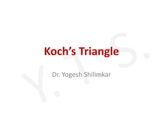 Koch’s Triangle
Dr. Yogesh Shilimkar
 
