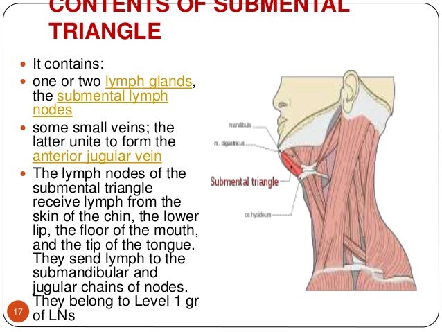 TRIANGLES OF NECK - BY DR. JUVERIA MAJEED MS ENT