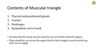 Triangles of Neck.pdf.................... | PDF