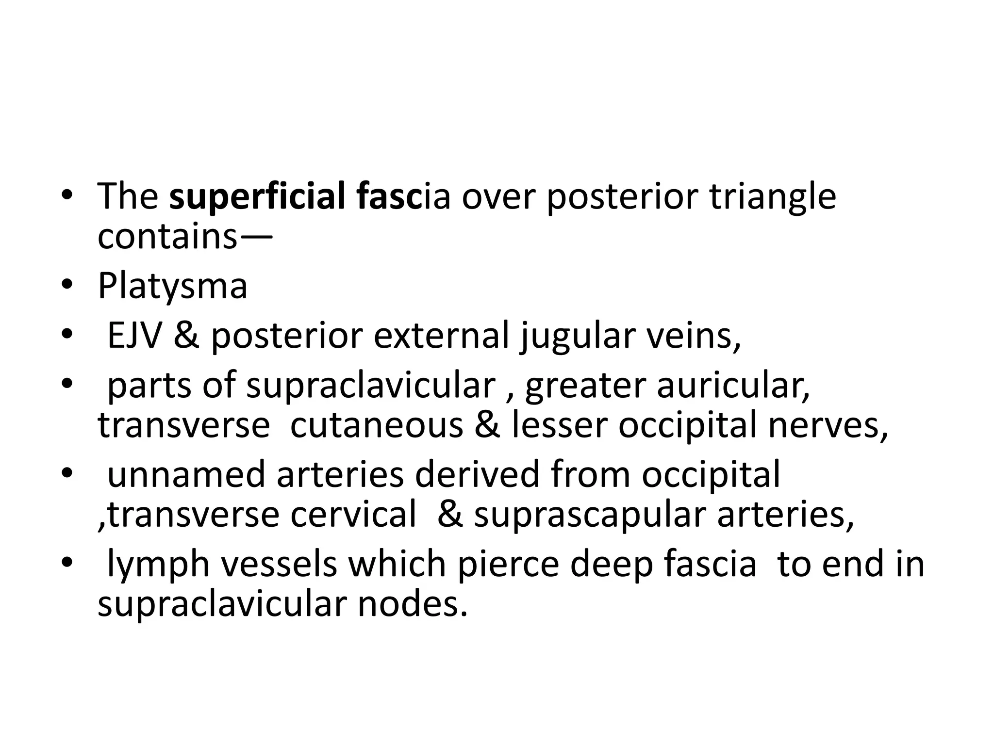 • The superficial fascia over posterior triangle
contains—
• Platysma
• EJV & posterior external jugular veins,
• parts of supraclavicular , greater auricular,
transverse cutaneous & lesser occipital nerves,
• unnamed arteries derived from occipital
,transverse cervical & suprascapular arteries,
• lymph vessels which pierce deep fascia to end in
supraclavicular nodes.
 