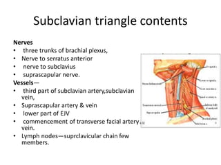 Subclavian triangle contents
Nerves
• three trunks of brachial plexus,
• Nerve to serratus anterior
• nerve to subclavius
• suprascapular nerve.
Vessels—
• third part of subclavian artery,subclavian
vein,
• Suprascapular artery & vein
• lower part of EJV
• commencement of transverse facial artery &
vein.
• Lymph nodes—suprclavicular chain few
members.
 