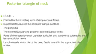 TRIANGLES OF NECK & APPLIED ANATOMY.pptx