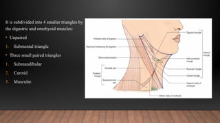 Comprehensive Overview of Neck Triangles in Oral & Maxillofacial ...