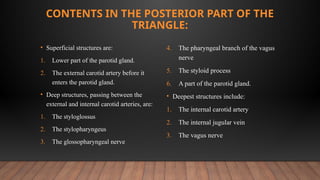 Comprehensive Overview of Neck Triangles in Oral & Maxillofacial ...