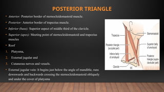 Comprehensive Overview of Neck Triangles in Oral & Maxillofacial ...