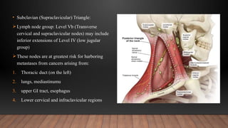 Level Vb Node Comprehensive Overview of Neck Triangles in Oral & Maxillofacial ...
