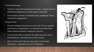 Comprehensive Overview of Neck Triangles in Oral & Maxillofacial ...