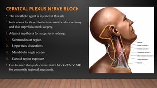 Block Dissection Comprehensive Overview of Neck Triangles in Oral & Maxillofacial ...