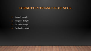 Comprehensive Overview of Neck Triangles in Oral & Maxillofacial ...