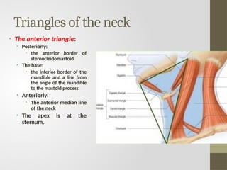 Sternal Triangle triangles of neck dr bushra.ppt ucmd anatomy | PPT